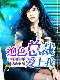 护妻狂婿