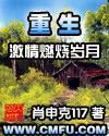 重生之激情燃烧岁月