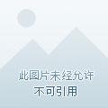 末世之重见光明