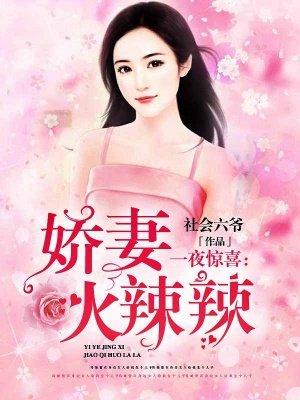 君上他下凡了